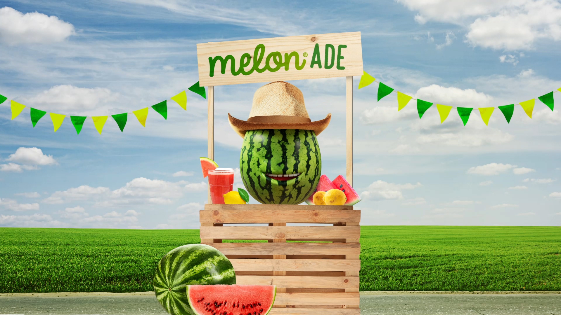 Melon Video Preview Image